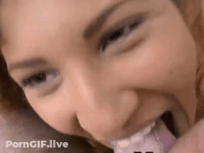 Amateur Babes Giving Amazing Blowjobs GIF