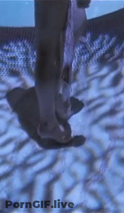 Babes And Celebrity Hookups: The Juicy Details GIF