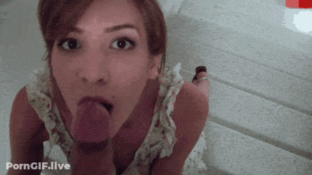 Babes Giving Amazing Blowjobs GIF