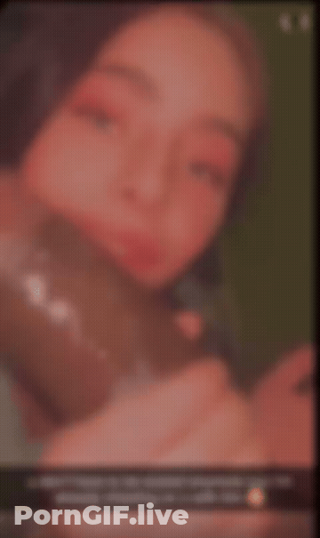 BBC BBC Slut Blowjob Cheat GIF