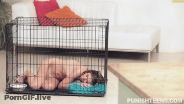 BDSM GIF