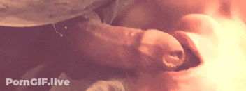 Blonde Blowjob Girlfriend Sucking Cock GIF