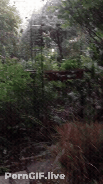 Blowjob Gay Outdoor Public GIF