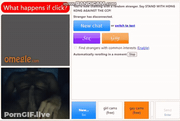 Curly Hair Pussy Webcam GIF