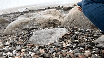 Fat Pussy Fupa Outdoor Pee GIF