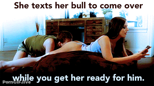 Get Her Ready For The Bull: Caption, Cuckold, Hotwife, Humiliation GIF