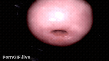 Gyno Sex Toy Toys GIF