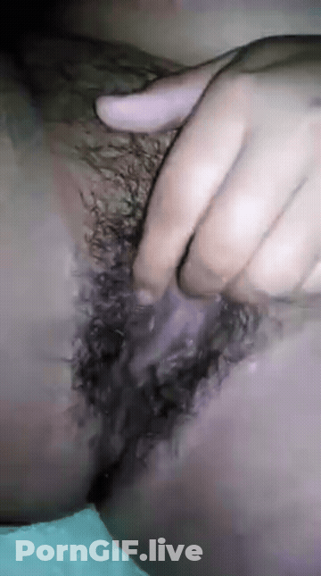 Hairy Hairy Pussy GIF