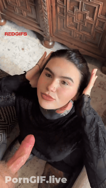 Have You Ever Said No To A Blowjob Before GIF