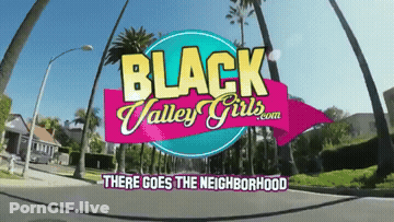 Hellodegree Clip GIF