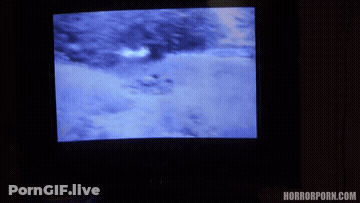 Horror Porn GIF