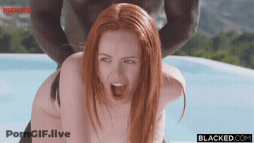 How Mlk Day Should Be Celebrated GIF