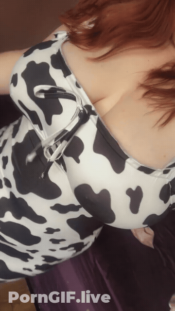 Hucow Porn GIF