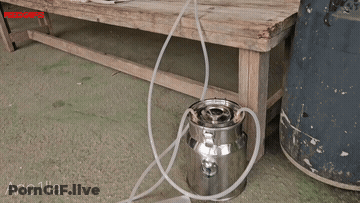 Latex Hucow GIF