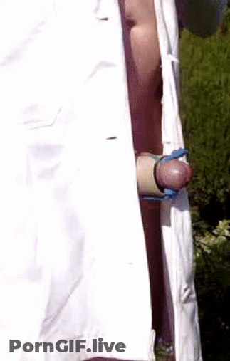 Outdoor Flashing: A Penis Erection You Can't Refuse GIF