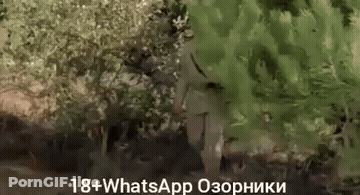 Outdoor Porn GIF