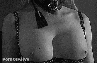 Sexy Bitch's Boobs GIF