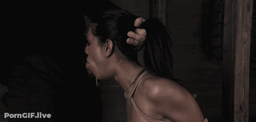 Slave Porn GIF