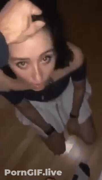 Sucking Porn GIF