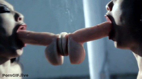 Sucking Porn GIF