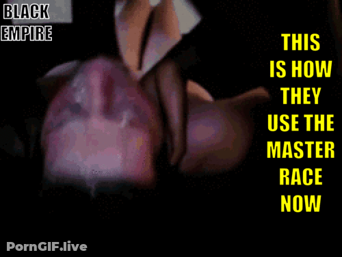 The BDSM Is HARD GIF