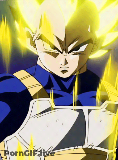 Vegeta's Dragon Ball Z Erotic Adventure GIF