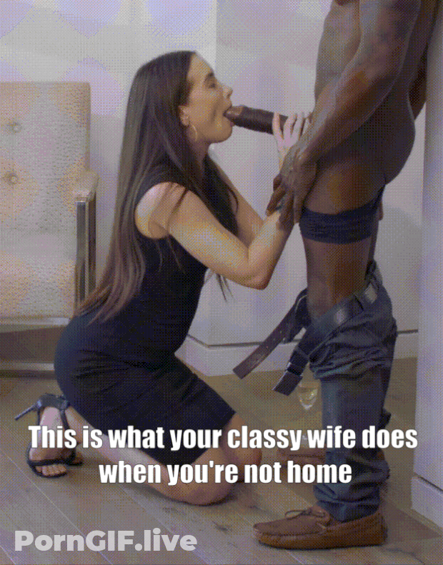 Your Decent Wifey GIF
