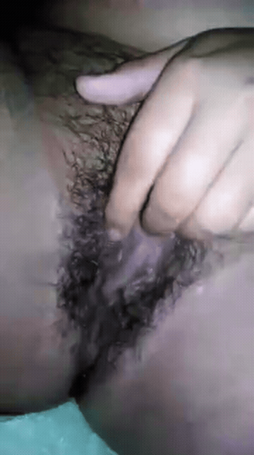 Hairy Hairy Pussy GIF