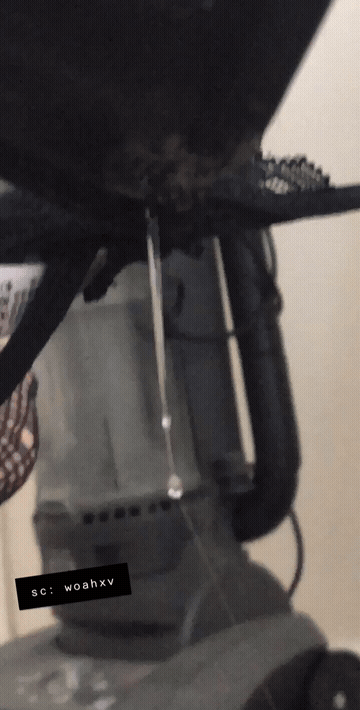 Wet Porn GIF