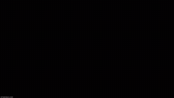 4K Porn GIF