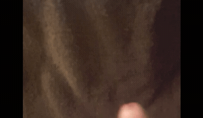Amateur Cock Selfshot: Cum Dripping Dick GIF