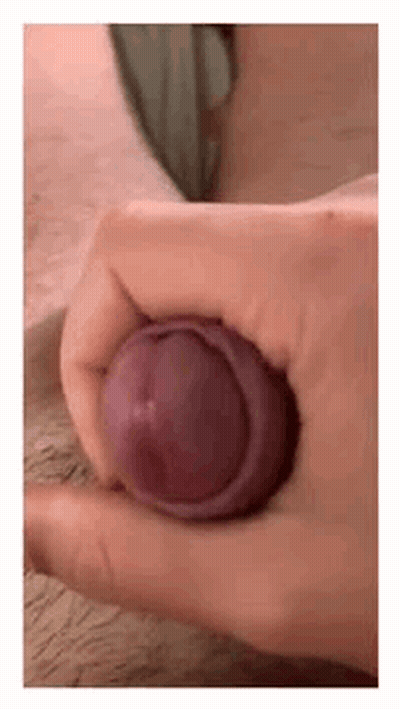 Amateur Penis Pornstar: A Hardcore Fucking Experience GIF