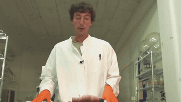 Anonymous Clip GIF