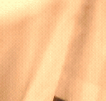 Arab GIF