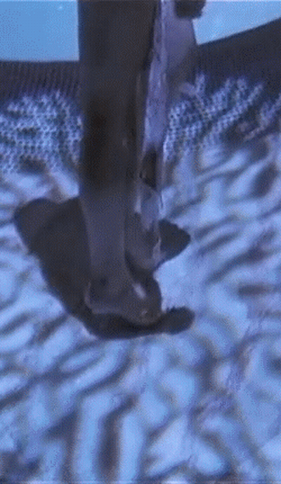 Babes And Celebrity Hookups: The Juicy Details GIF