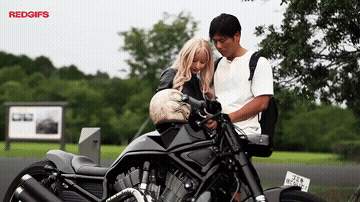 Biker Girl GIF