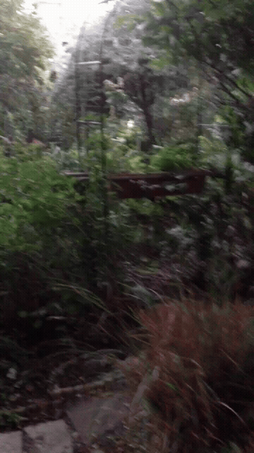 Blowjob Gay Outdoor Public GIF