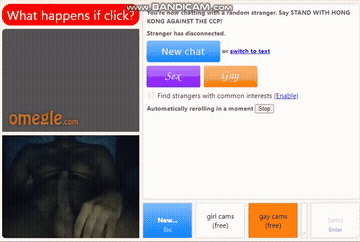 Curly Hair Pussy Webcam GIF