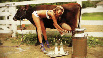 Farmgirl's Milking: Big Tits, Blonde, Lingerie, And Panties GIF
