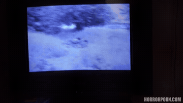 Horror Porn Gif