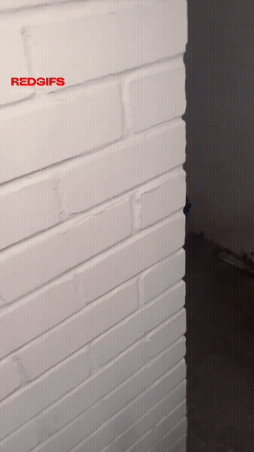Is It Too Soon To Suck Cock On A First Date At The Back Of The Club GIF