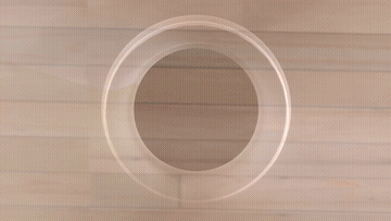 Lazyshi Clip GIF