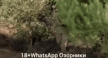 Outdoor Porn GIF
