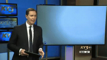 Police GIF