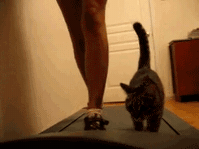 Porn Art GIF