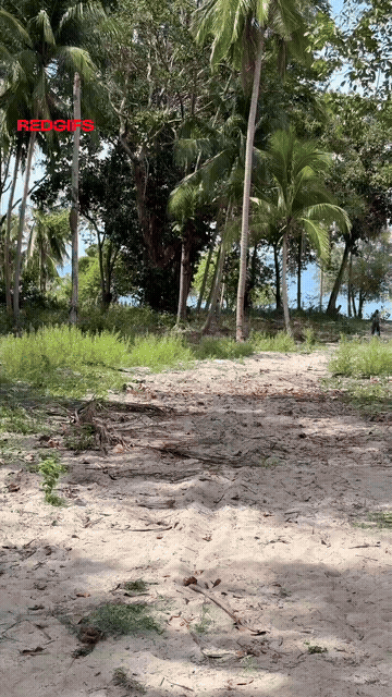 Stripping Down While Someone Walked Away In The Background GIF
