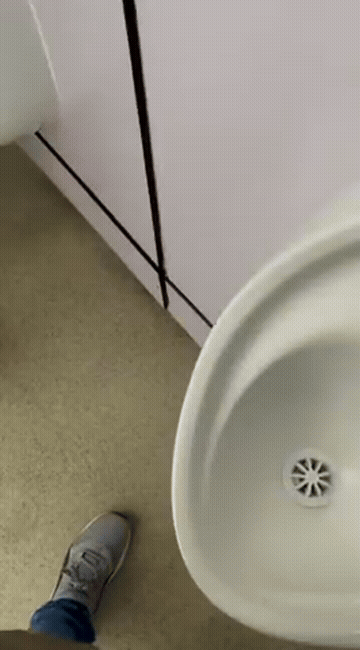 Sucking Toilet Uncut GIF