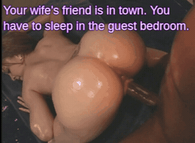 Theres Just Not Going To Be Any Apartment For You In Couch With Us, Sorry Stunner. GIF