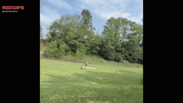 Took This Stranger Into The Woods While Out Playing Disc Golf GIF