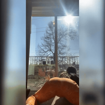 Twerking GIF